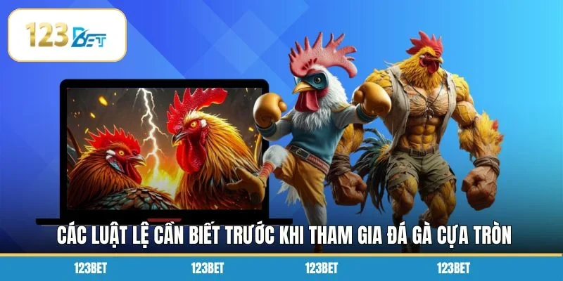 Các luật lệ cần biết trước khi tham gia đá gà cựa tròn