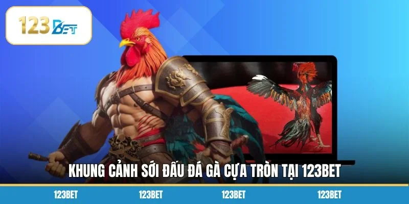 Khung cảnh sới đấu đá gà cựa tròn tại 123BET