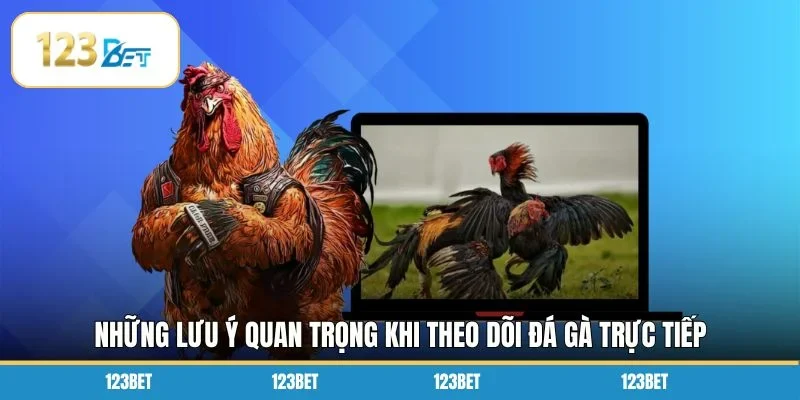 Những lưu ý quan trọng khi theo dõi đá gà trực tiếp 